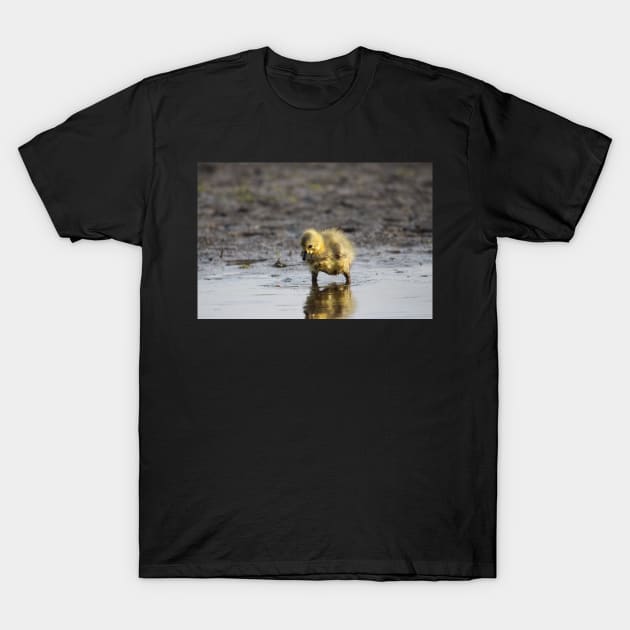 Pigpen reflections T-Shirt by SandiLin